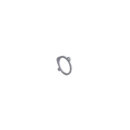 Bridge Neck Inlet Flange -