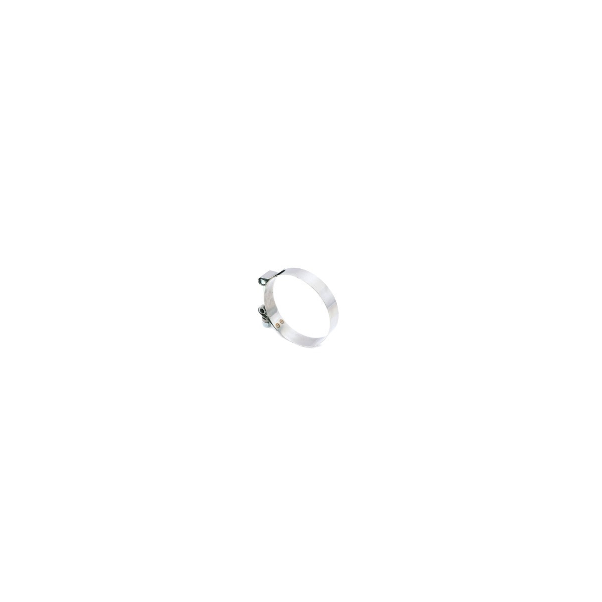 RFAB 3 Inch T-Bolt Clamp Raw - Raw