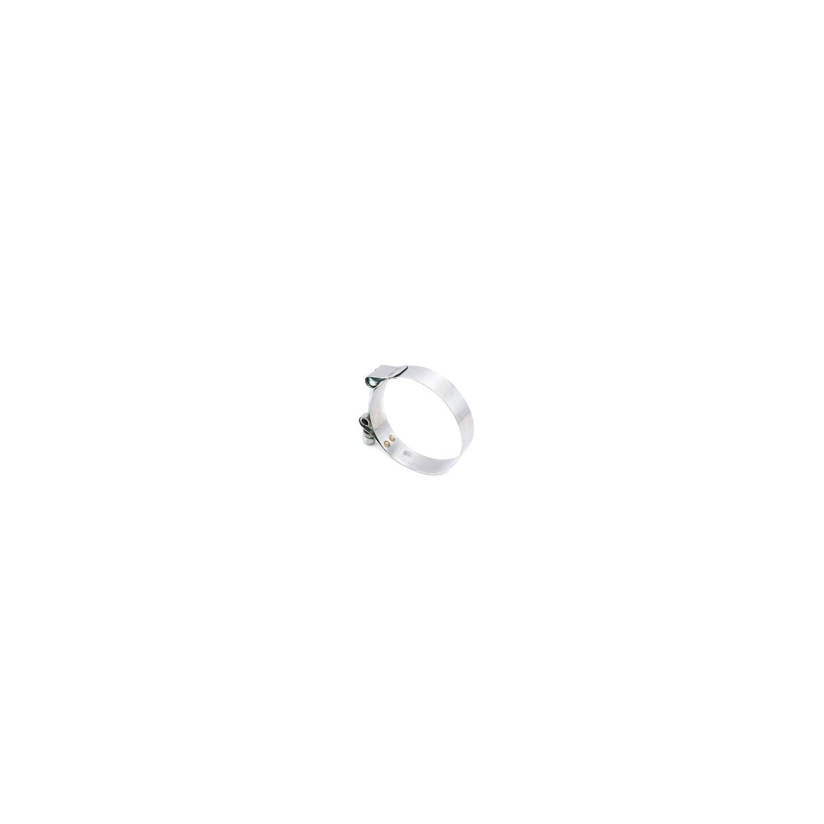 RFAB 2.75 Inch T-Bolt Clamp Raw - Raw