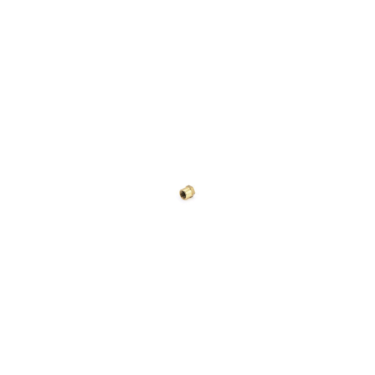 RFAB Brass Fuel Test Port Cap RFB-842-RFAB -