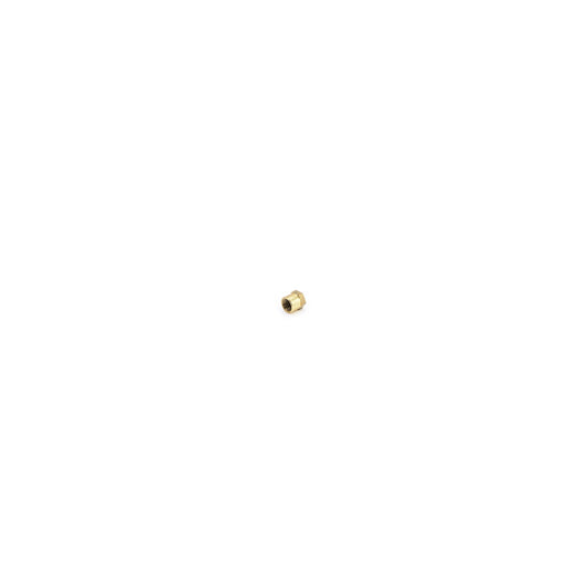 RFAB Brass Fuel Test Port Cap RFB-842-RFAB -