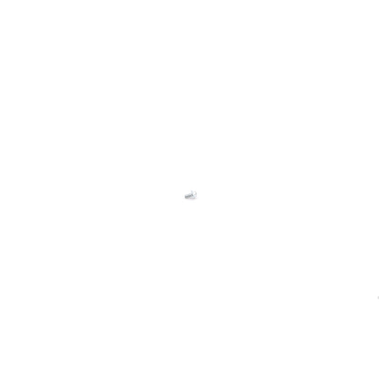 RFAB M6X1.0X12mm Bolt RFB-982-RFAB -